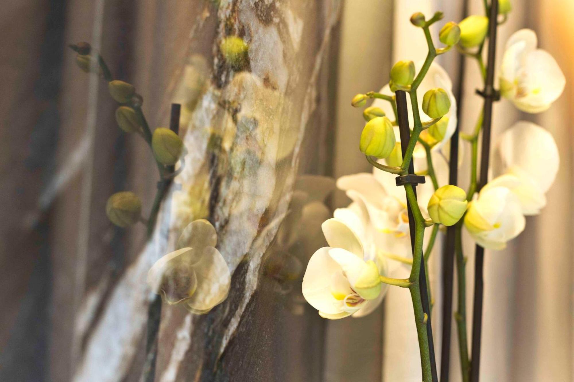 Boutique Hotel Sirmione Ngoại thất bức ảnh